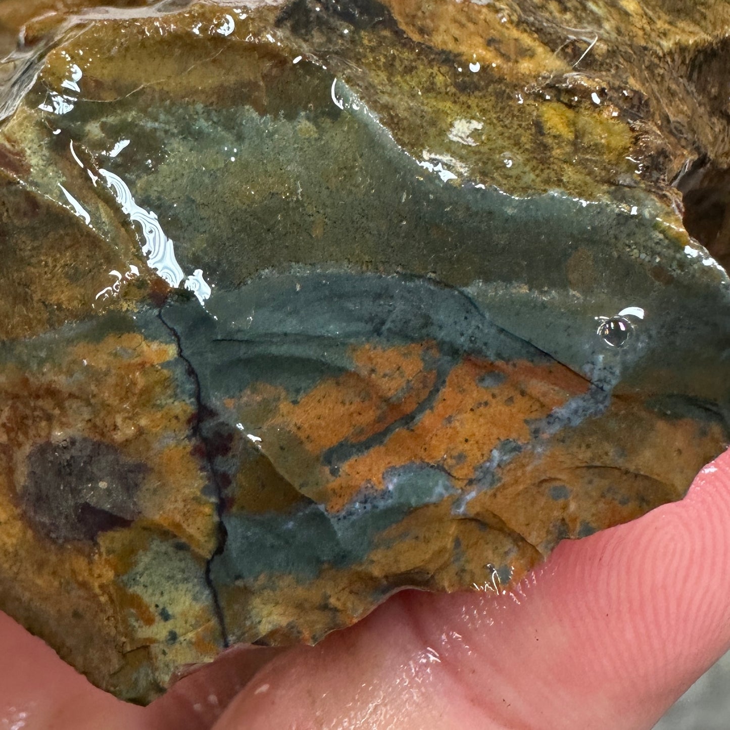 ECHO RIDGE JASPER Rough - 0.90 Pounds