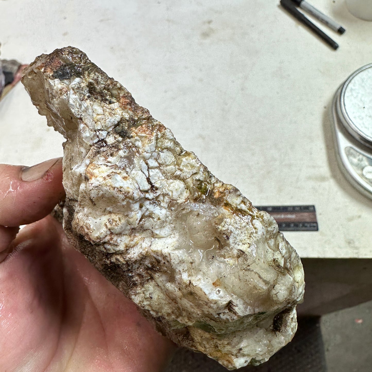 NEVADA POINT PLUME AGATE Rough - 1.27 Pounds