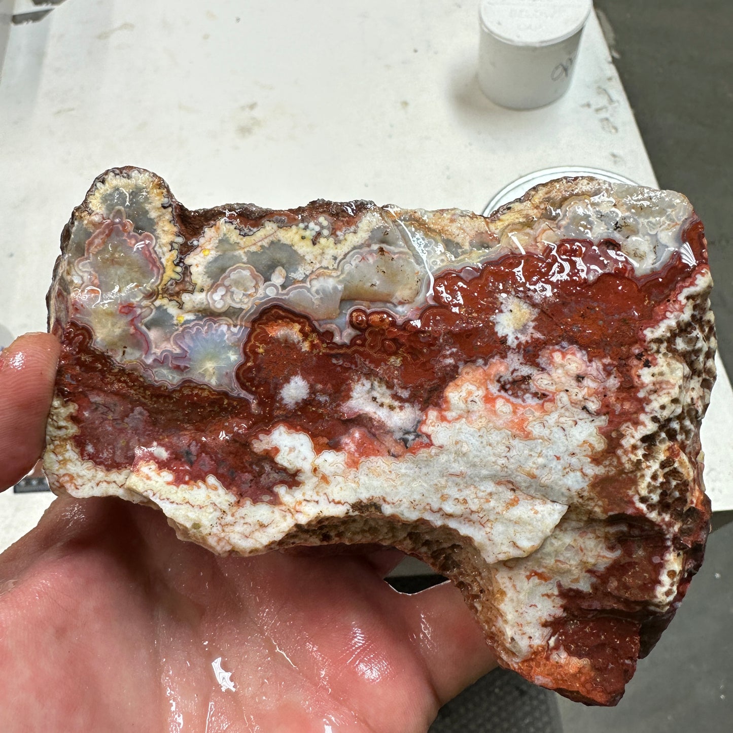 CRAZY LACE AGATE Rough - 1.76 Pounds