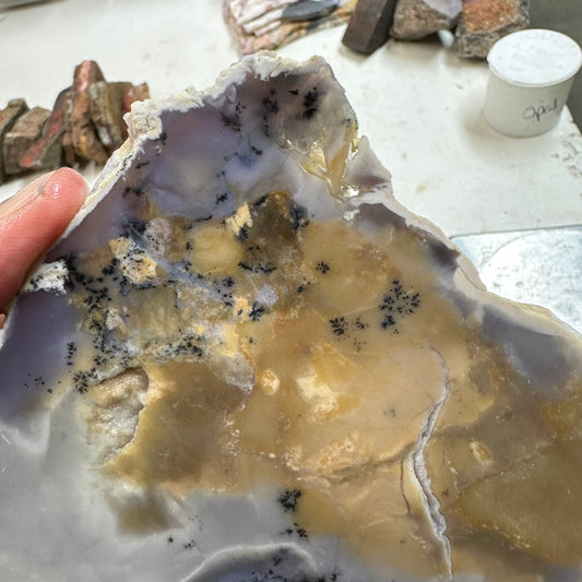 AMETHYST SAGE AGATE Slab - 231 grams