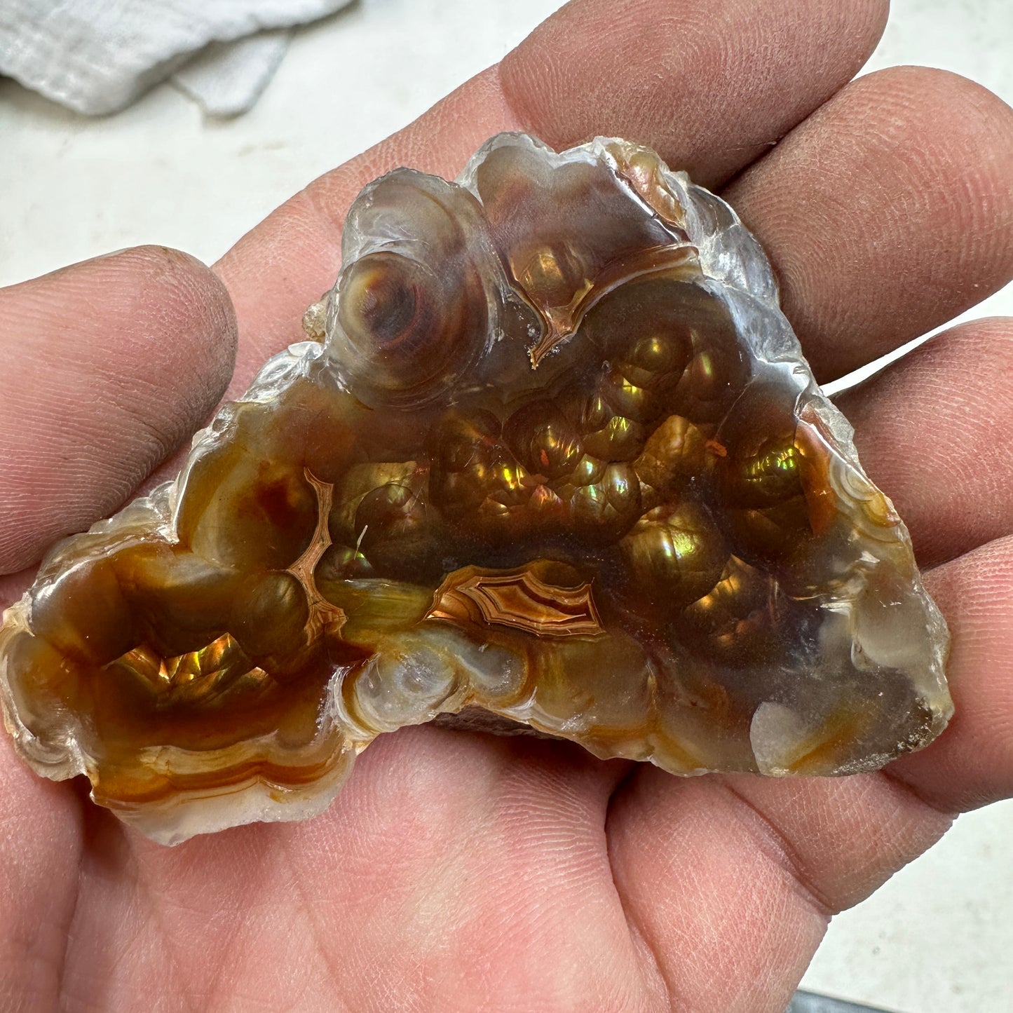 AGUASCALIENTES FIRE AGATE Polished Specimen