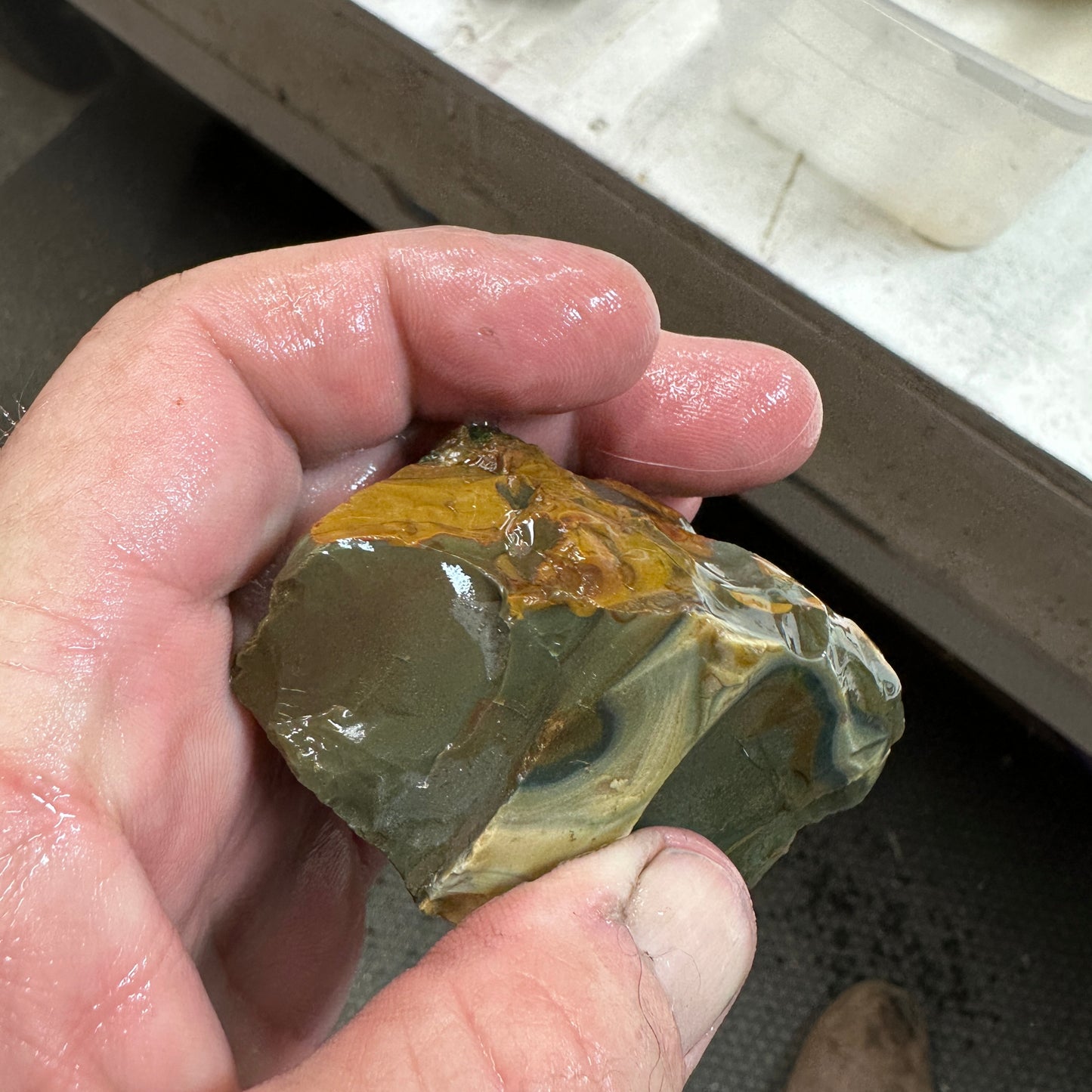 HART MOUNTAIN JASPER Faced Rough - 0.48 Pounds