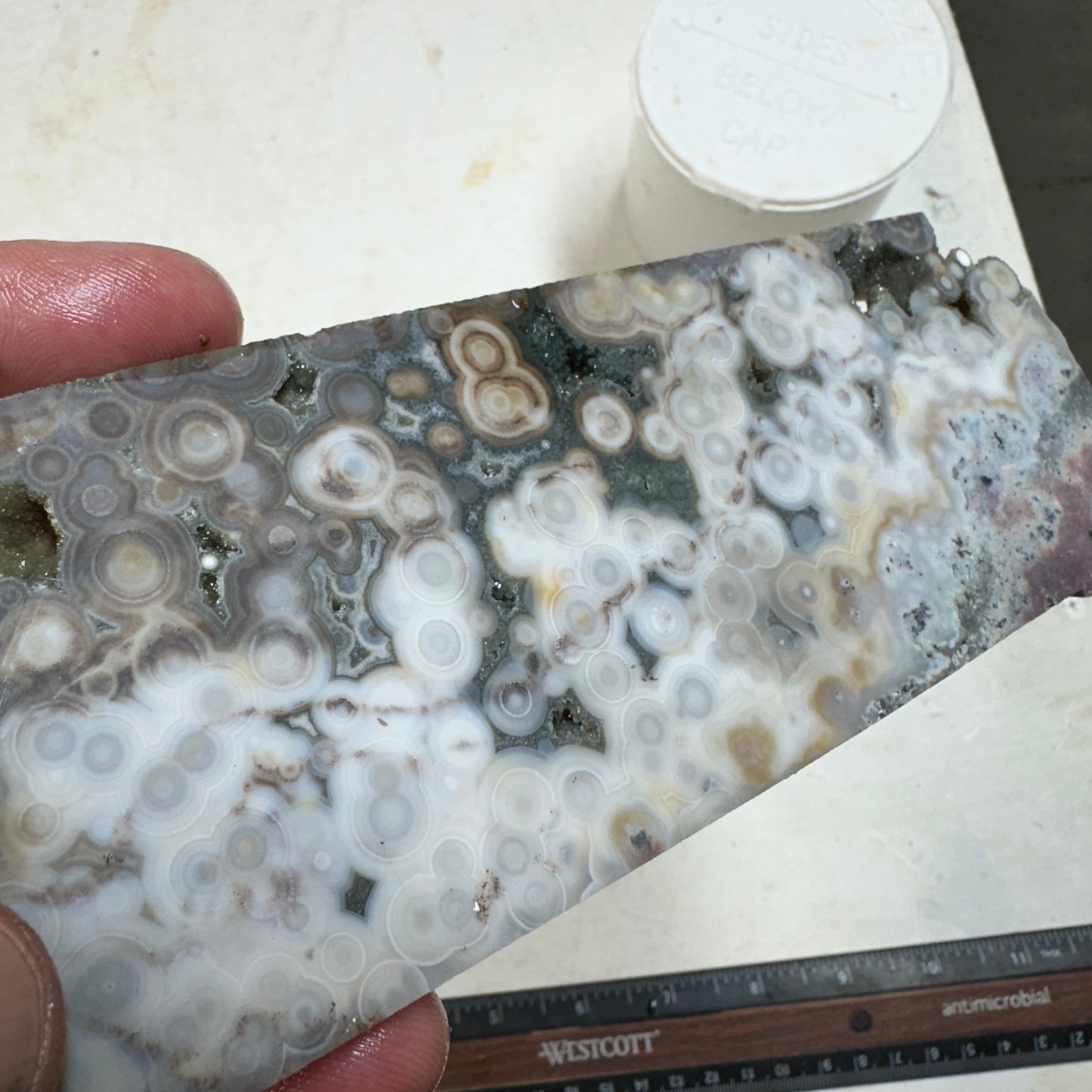 OCEAN JASPER Slab - 204 grams