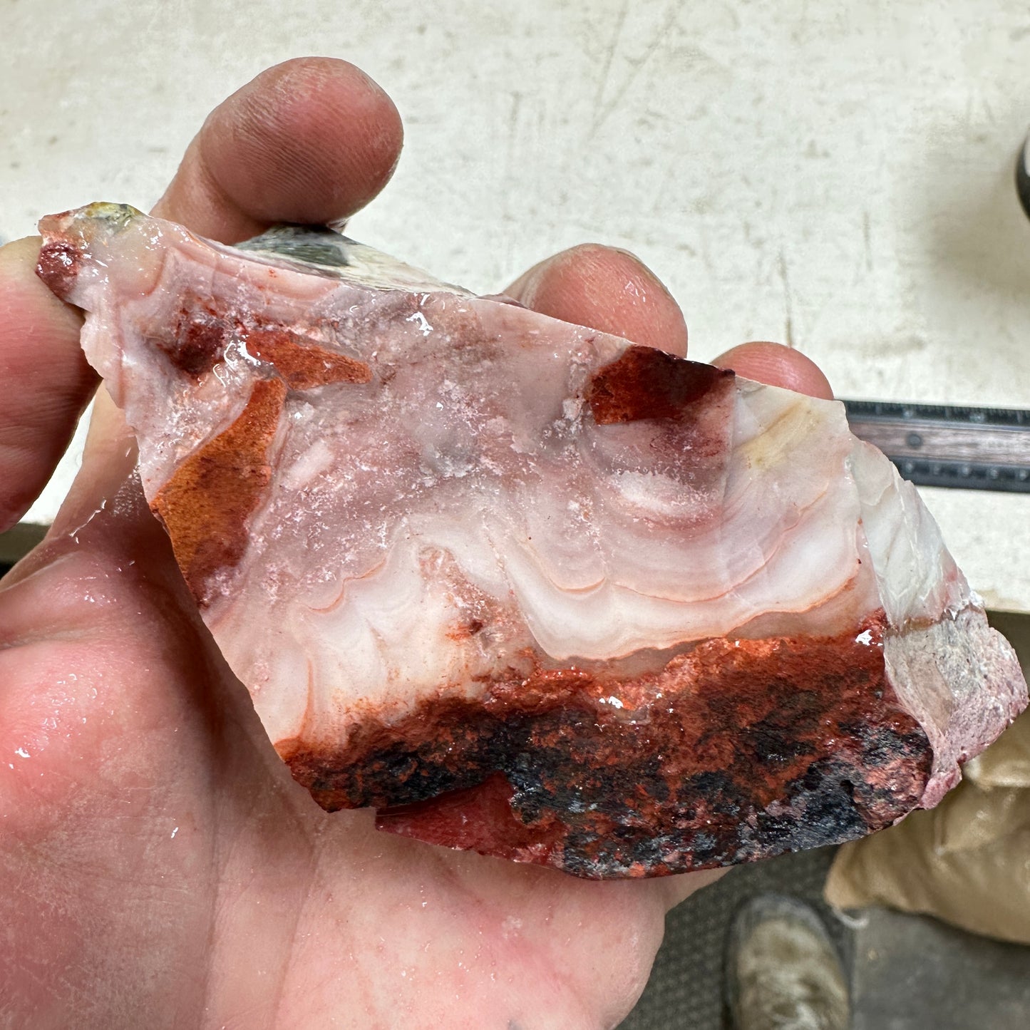 WINDY MOUNTAIN AGATE Rough - 0.78 Pounds