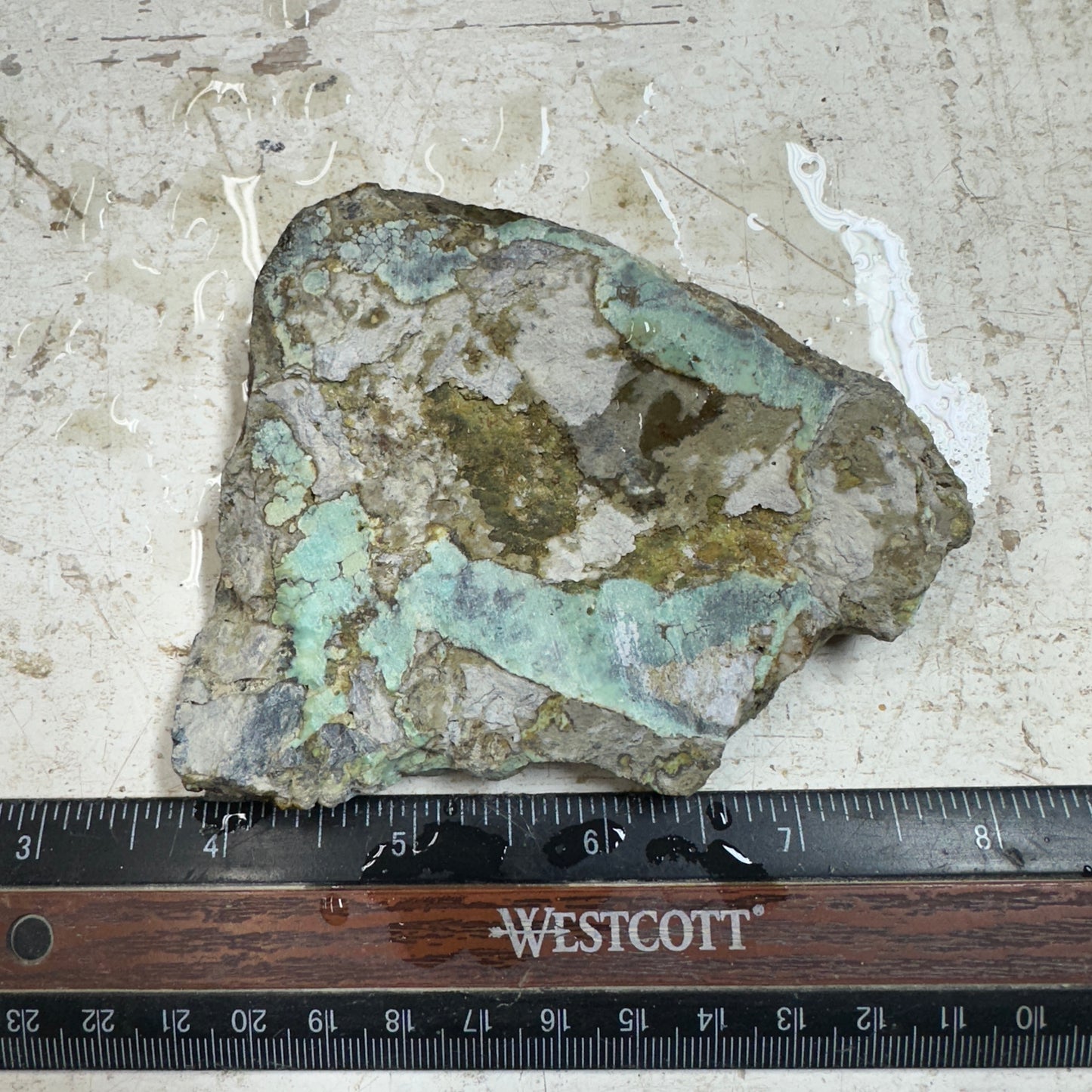 BROKEN ARROW VARISCITE Trimmed Rough Slab - 187 grams