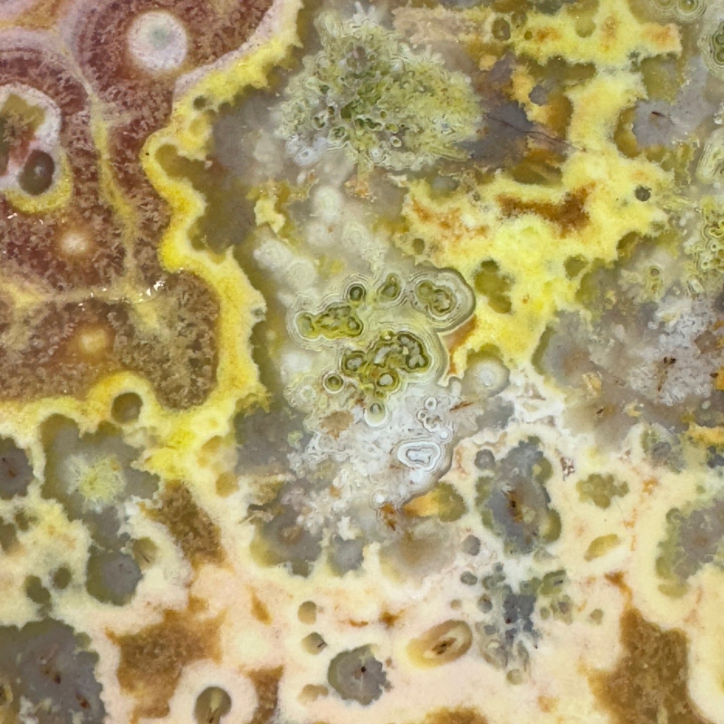 CRAZY LACE AGATE Slab - 169 grams