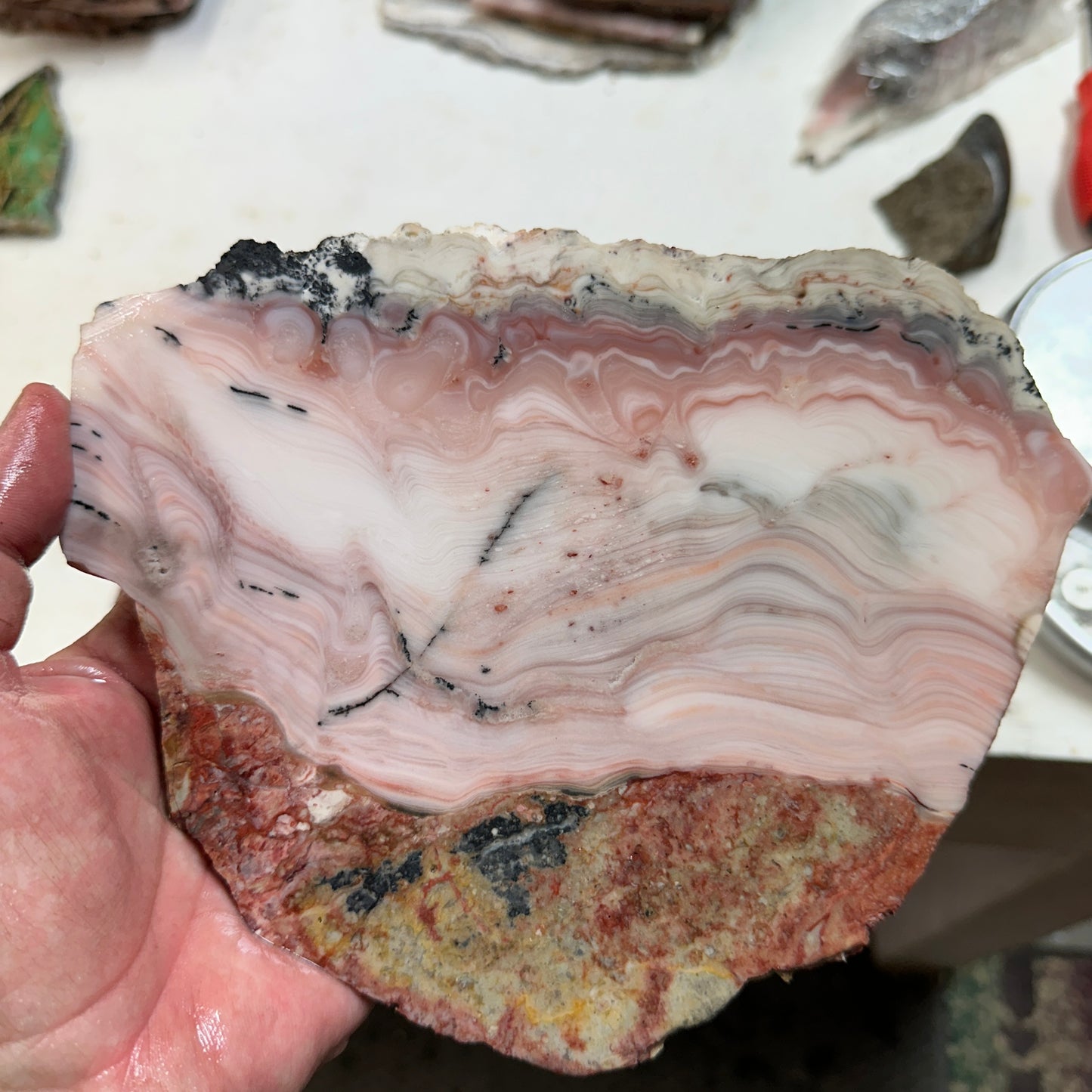 WINDY MOUNTAIN AGATE Slab - 473 grams