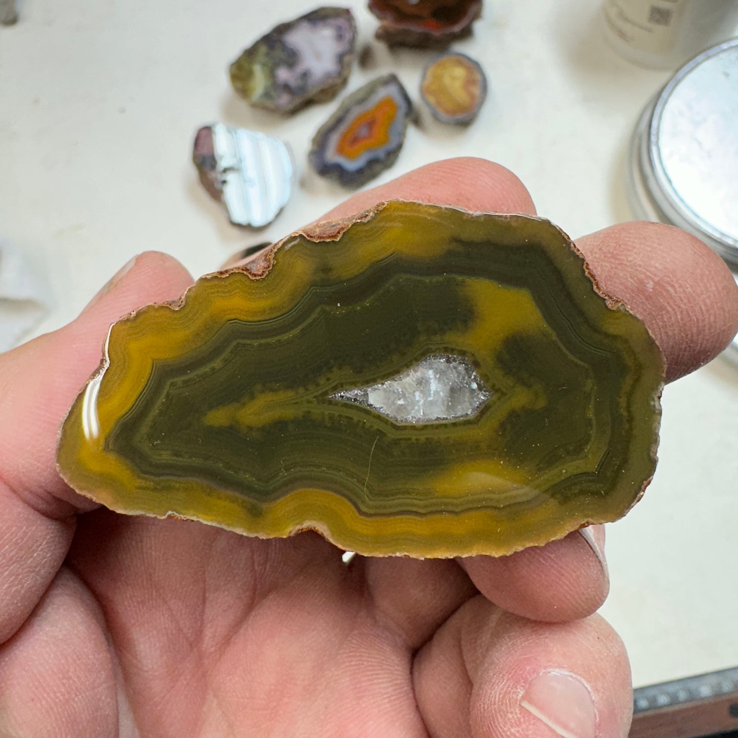 CONDOR AGATE Polished Specimen