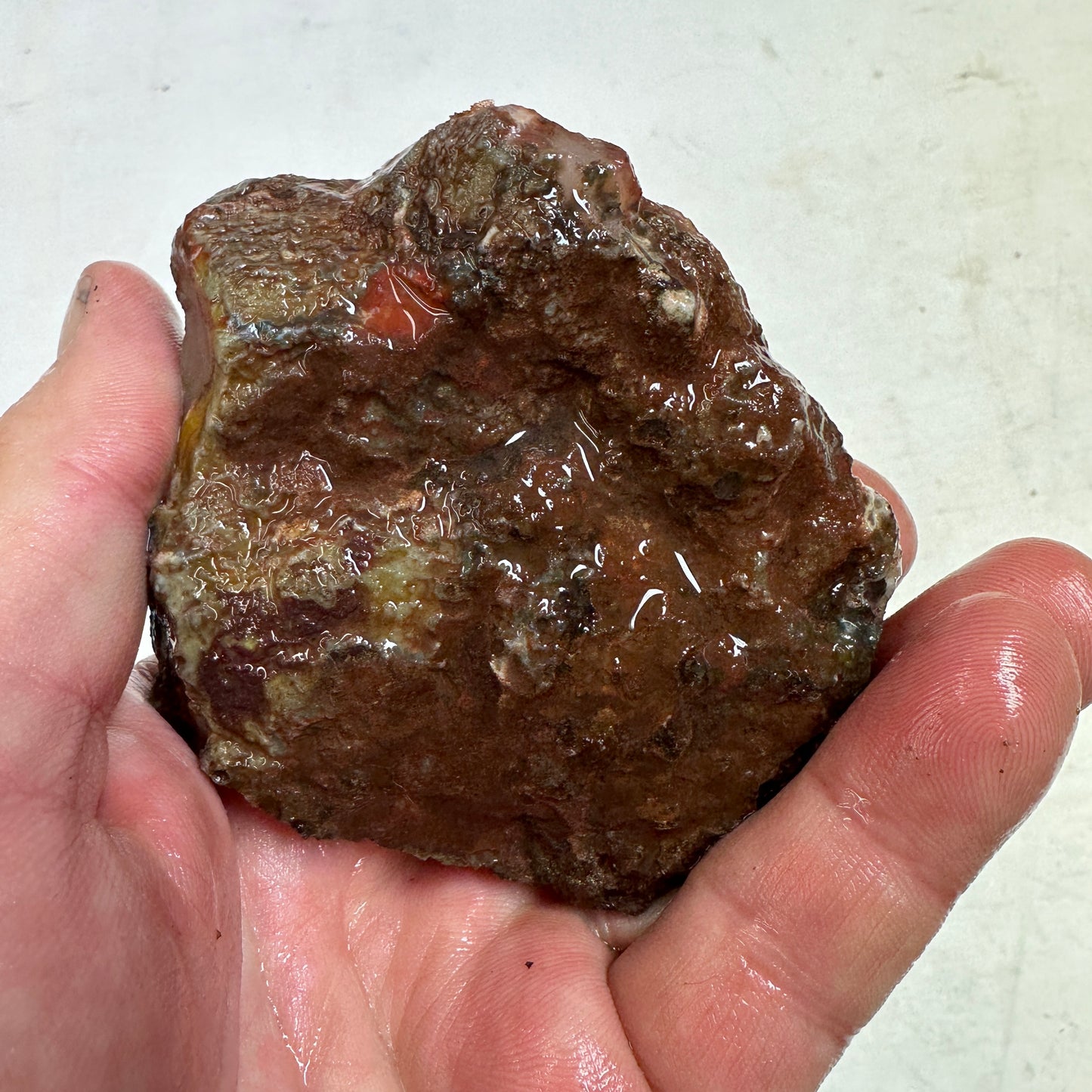 MOROCCAN AGATE Rough - 0.82 Pounds