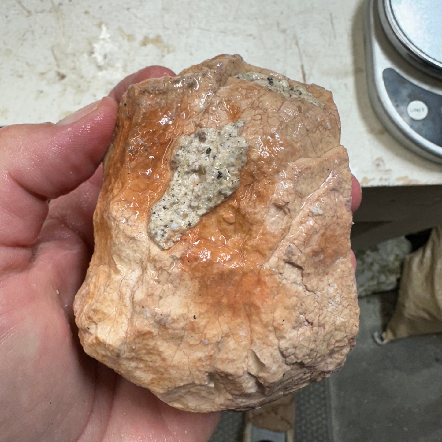 Rare Orbed TIFFANY STONE Rough - 1.78 Pounds