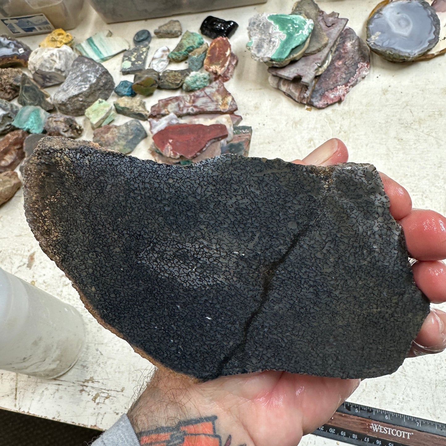 GEMBONE Dinosaur Bone Slab - 222 grams