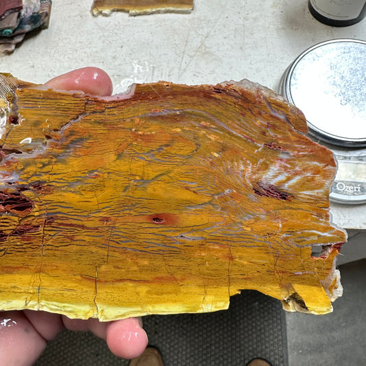 HOWARDITE Slab - 220 grams