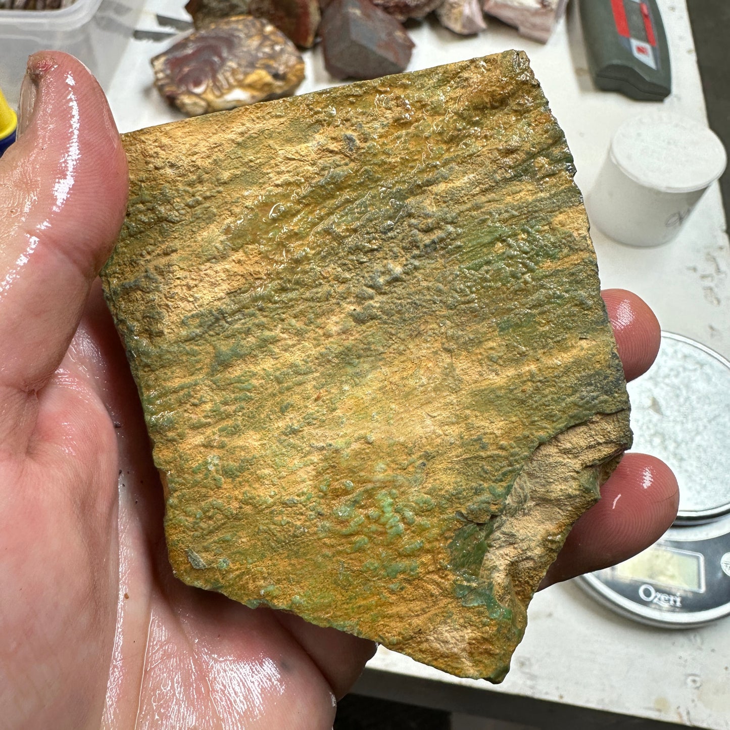 AUSTRALIAN VARISCITE Plate - 326 grams