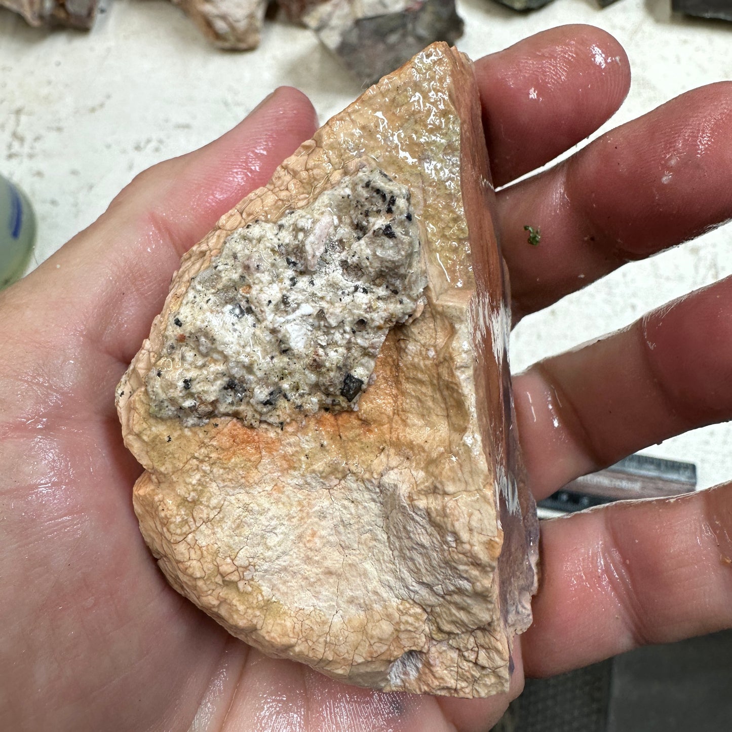 Rare Orbed TIFFANY STONE Rough - 0.66 Pounds