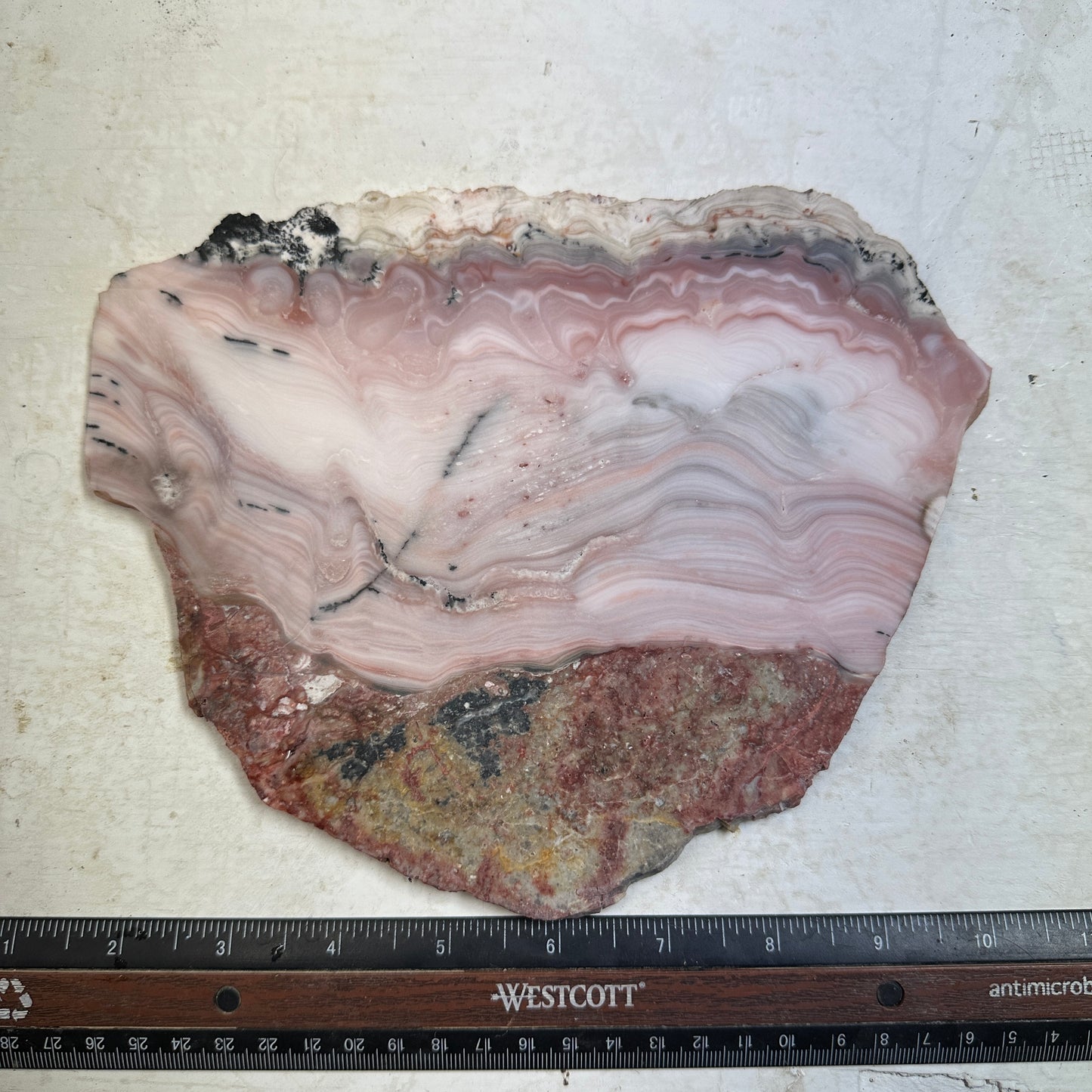 WINDY MOUNTAIN AGATE Slab - 473 grams