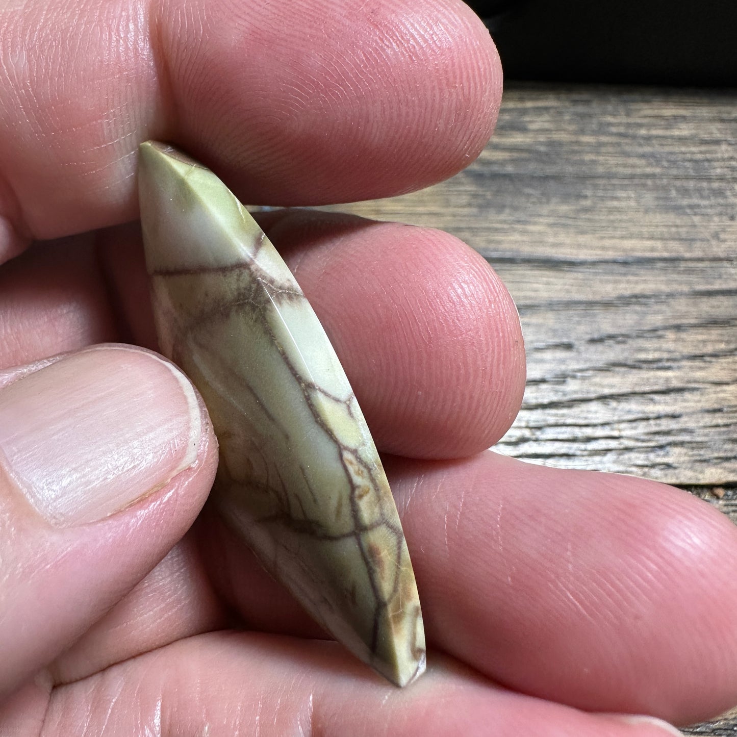 SPIDERWEB JASPER cabochon