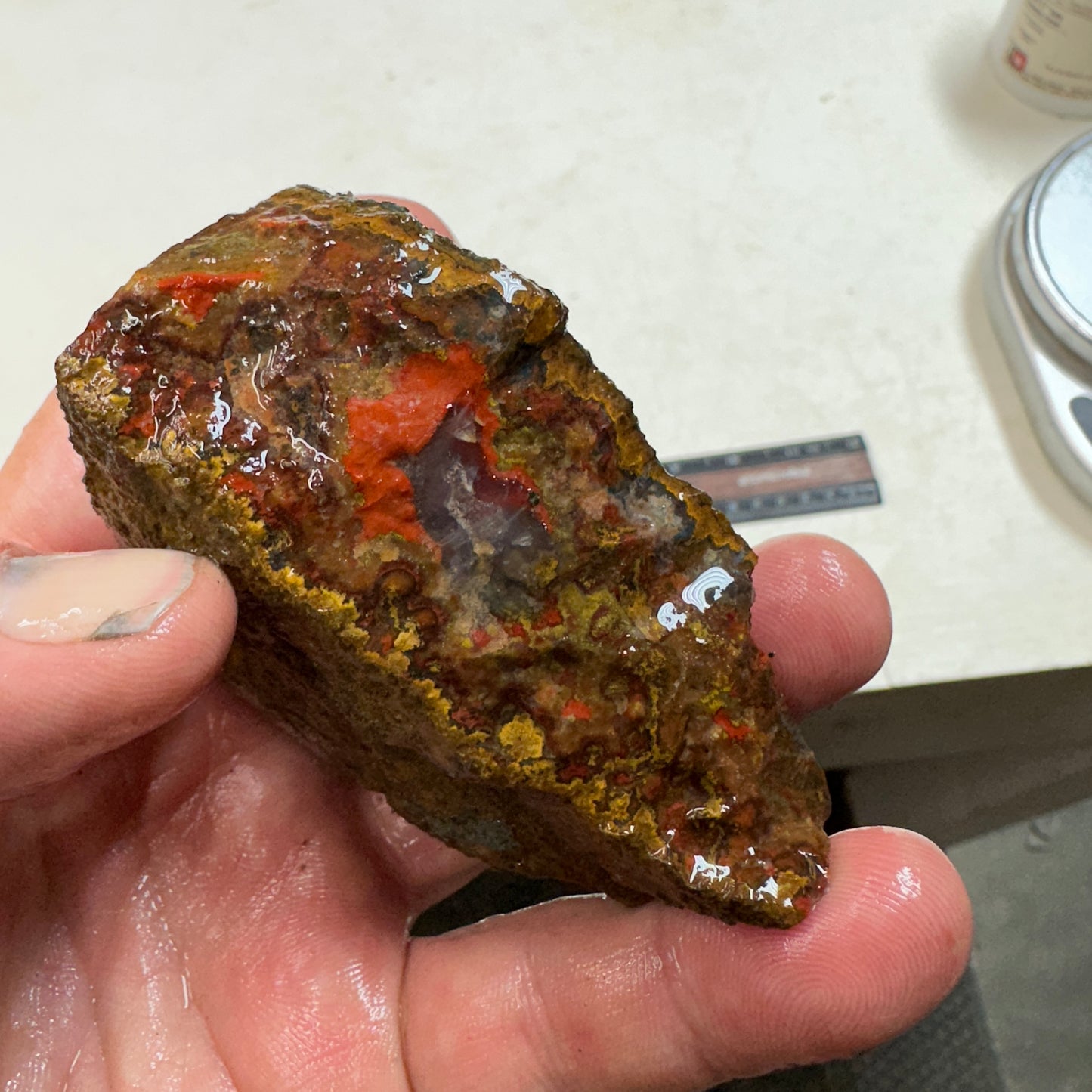 MOROCCAN SEAM AGATE Rough - 9.0ozs