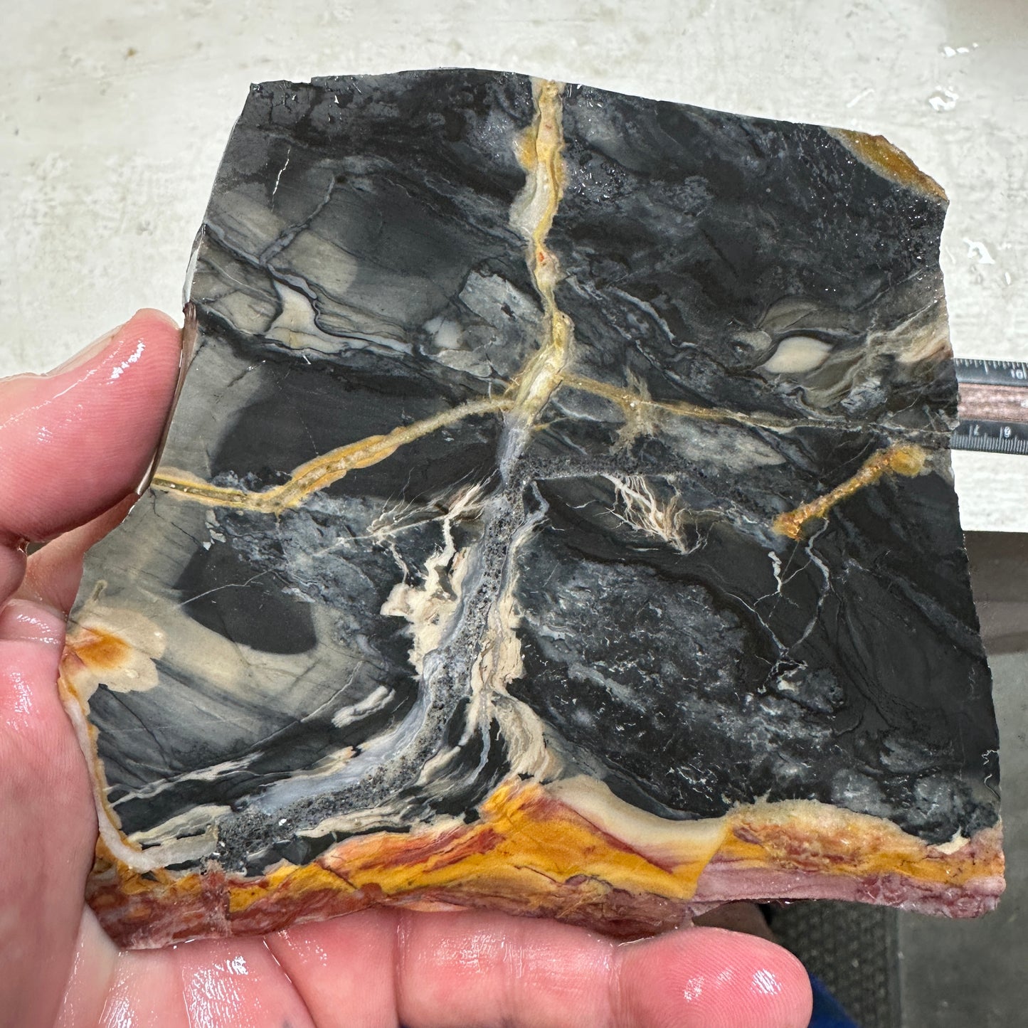 WINDY MOUNTAIN JASPER Slab - 223 grams