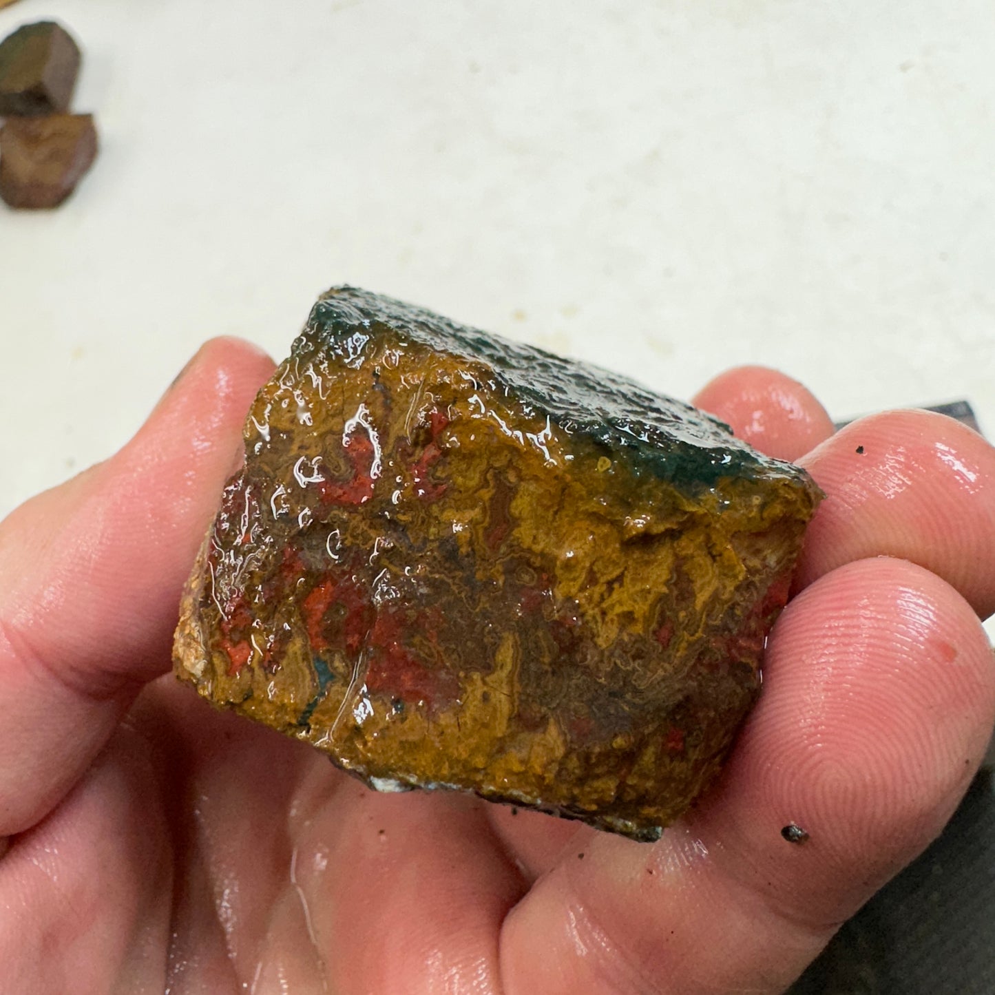 MOROCCAN SEAM AGATE Rough - 10.5ozs