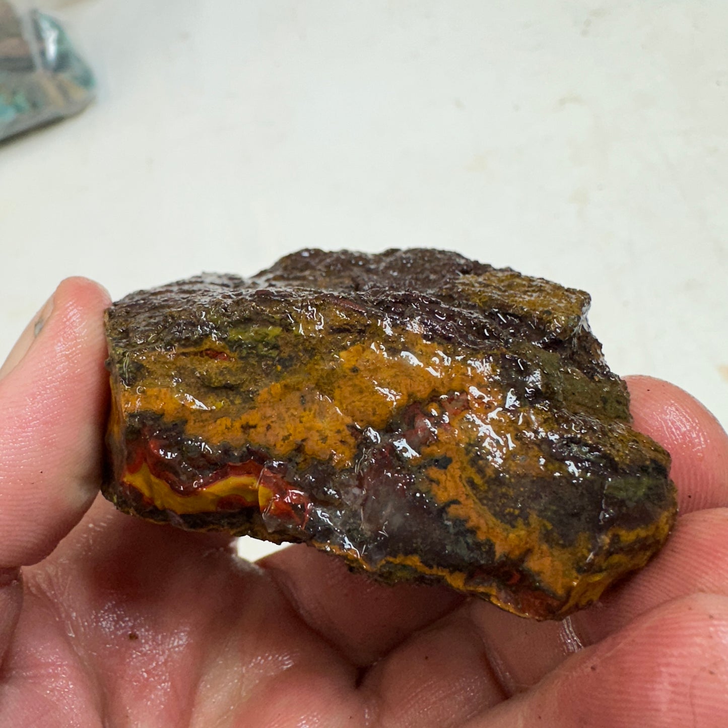 MOROCCAN SEAM AGATE Rough - 0.49 Pounds