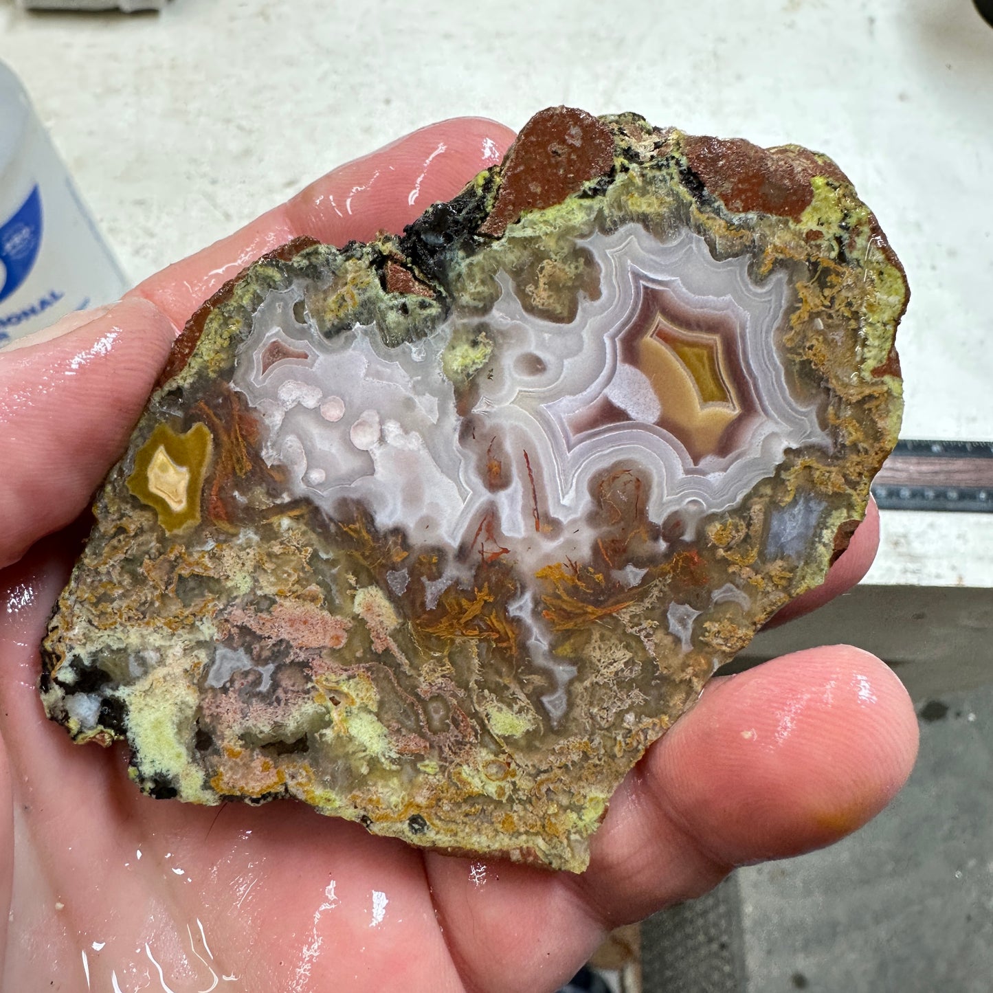 AGUA NUEVA AGATE Rough - 0.51 Pounds