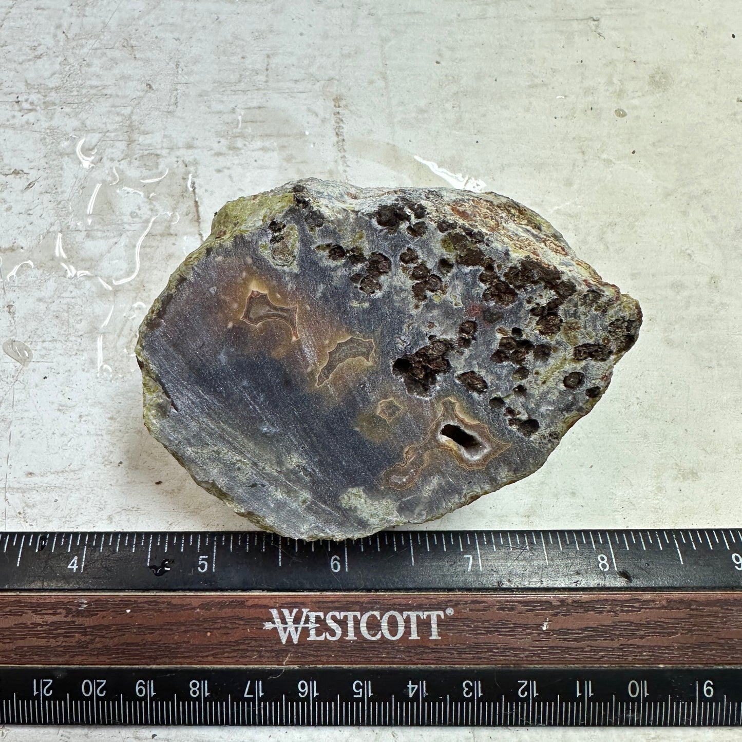 AGUA NUEVA AGATE Rough - 0.53 Pounds
