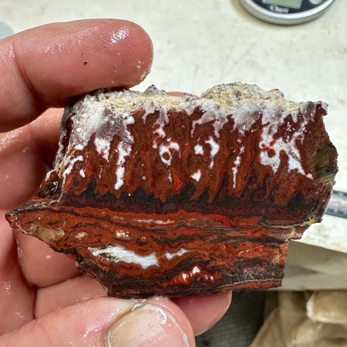 IDAHO WILDFIRE PLUME AGATE Faced Rough - 4.34oz