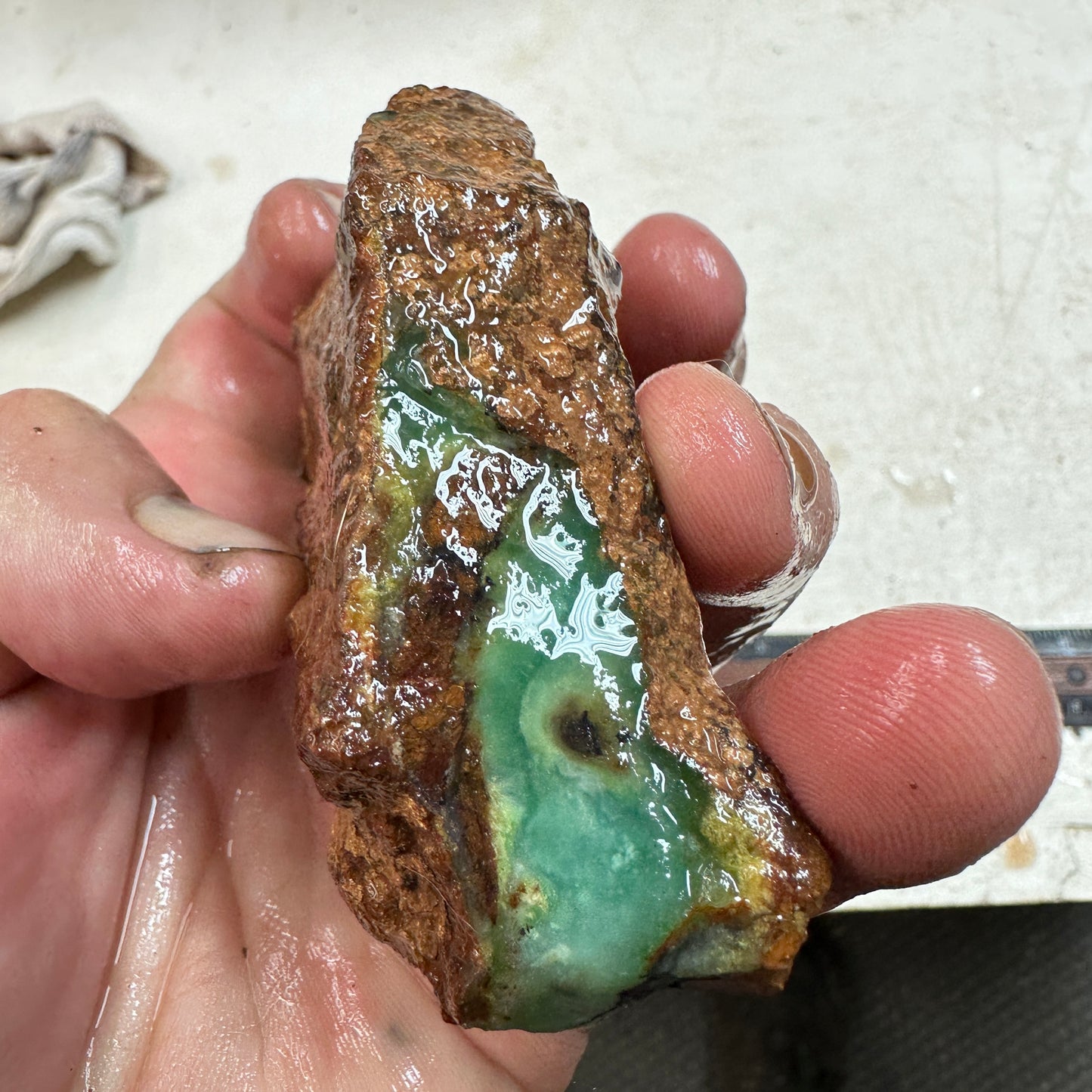 CHRYSOPRASE Faced Rough - 0.47 Pounds