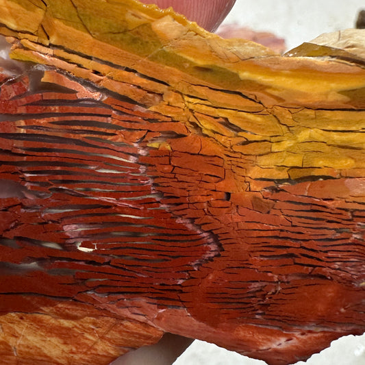 SUNSET HOWARDITE Slab - 62 grams