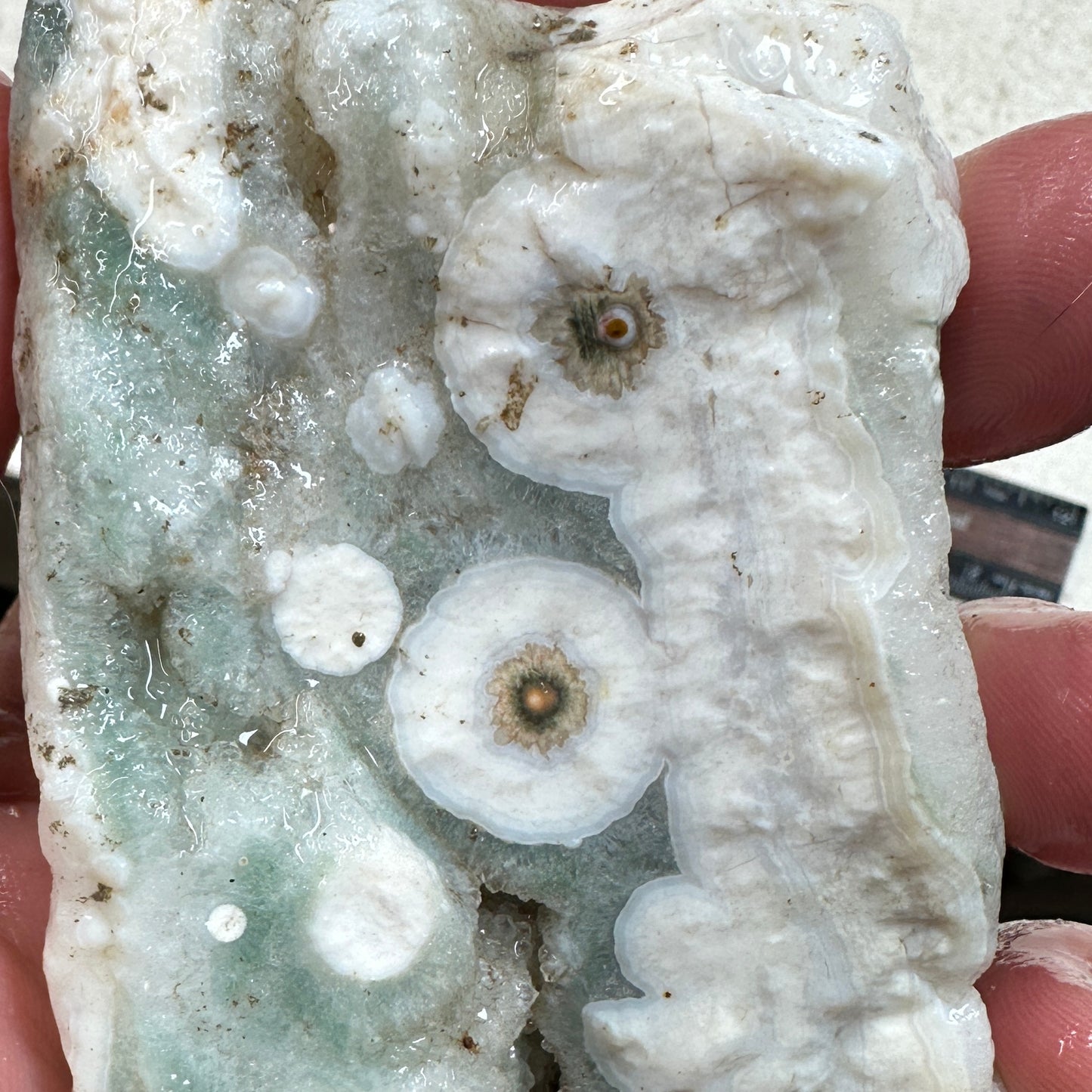 OCEAN JASPER Rough - 0.91 Pounds