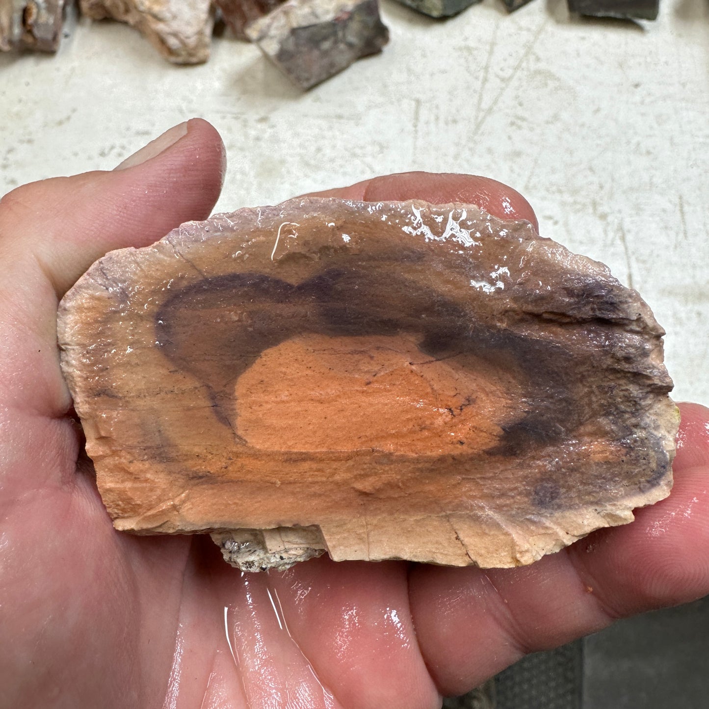 Rare Orbed TIFFANY STONE Rough - 0.66 Pounds