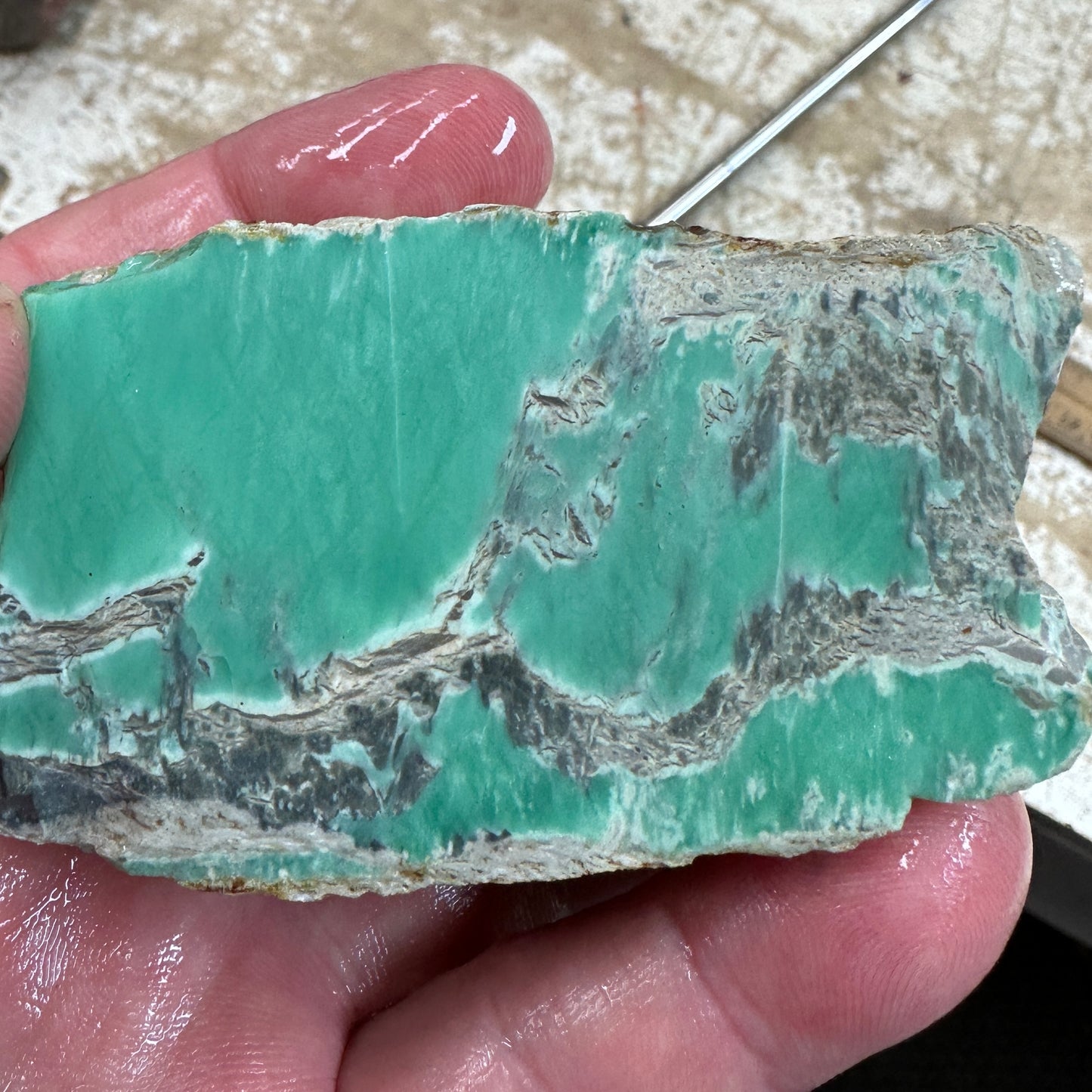 AUSTRALIAN VARISCITE Faced Rough - 229 grams