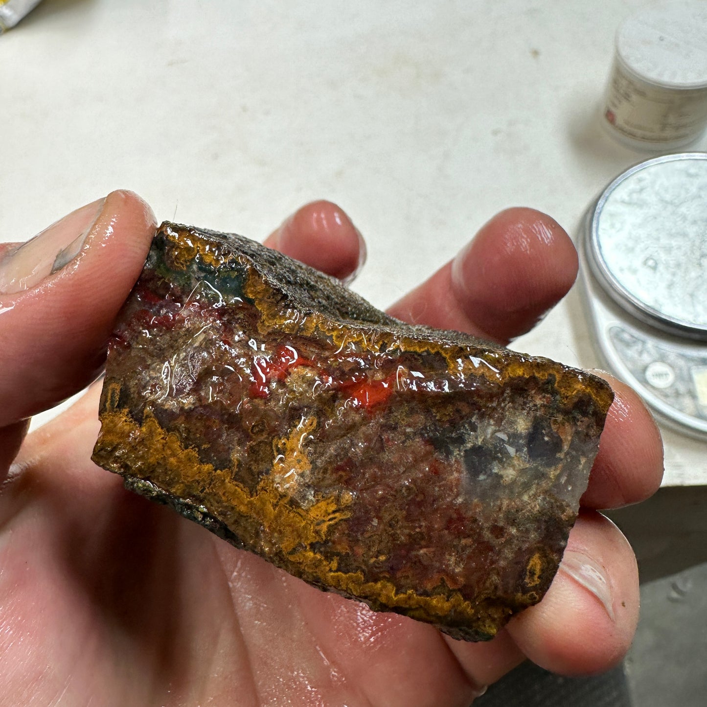 MOROCCAN SEAM AGATE Rough - 10.7ozs