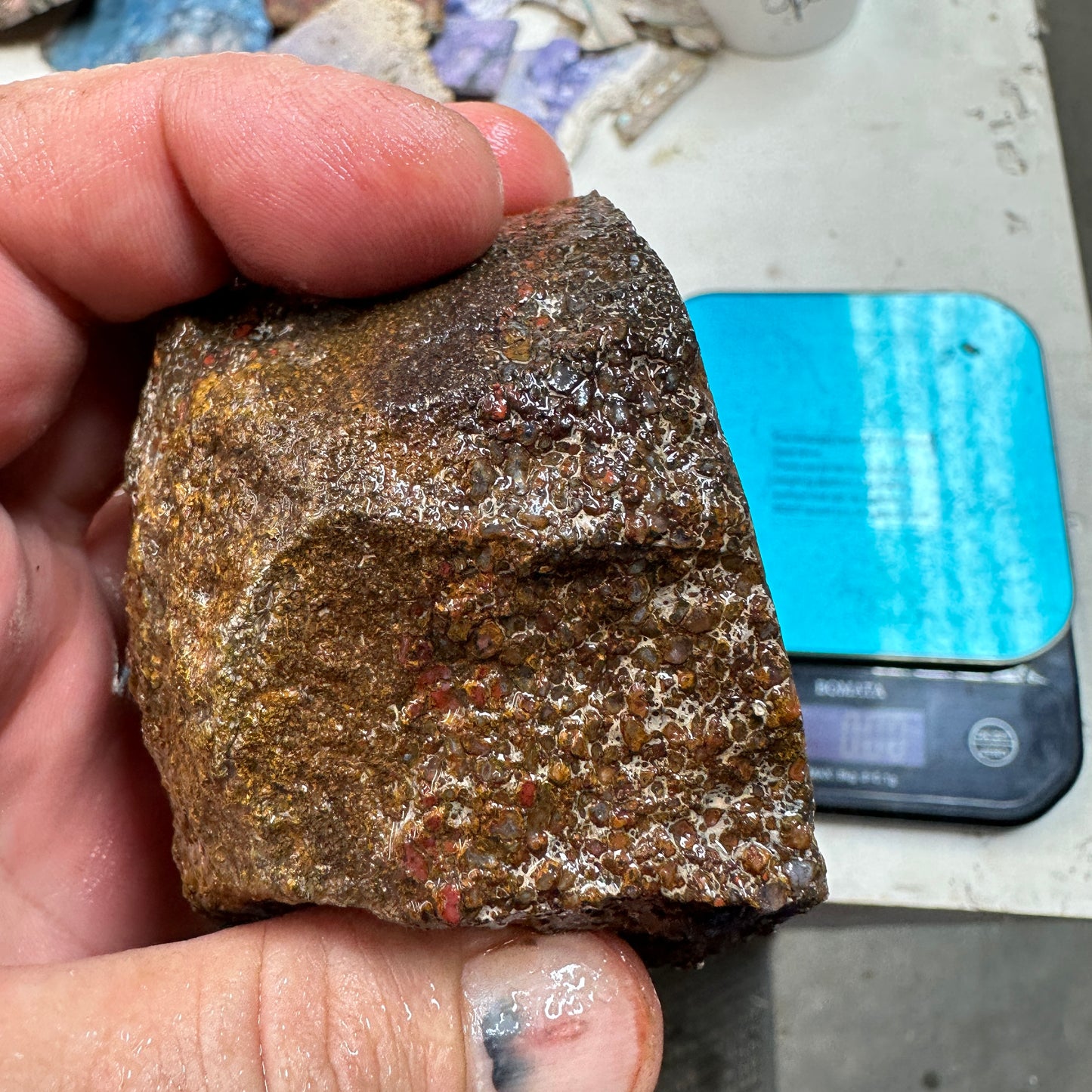 GEMBONE Dinosaur Bone Faced Rough - 1.41 Pounds