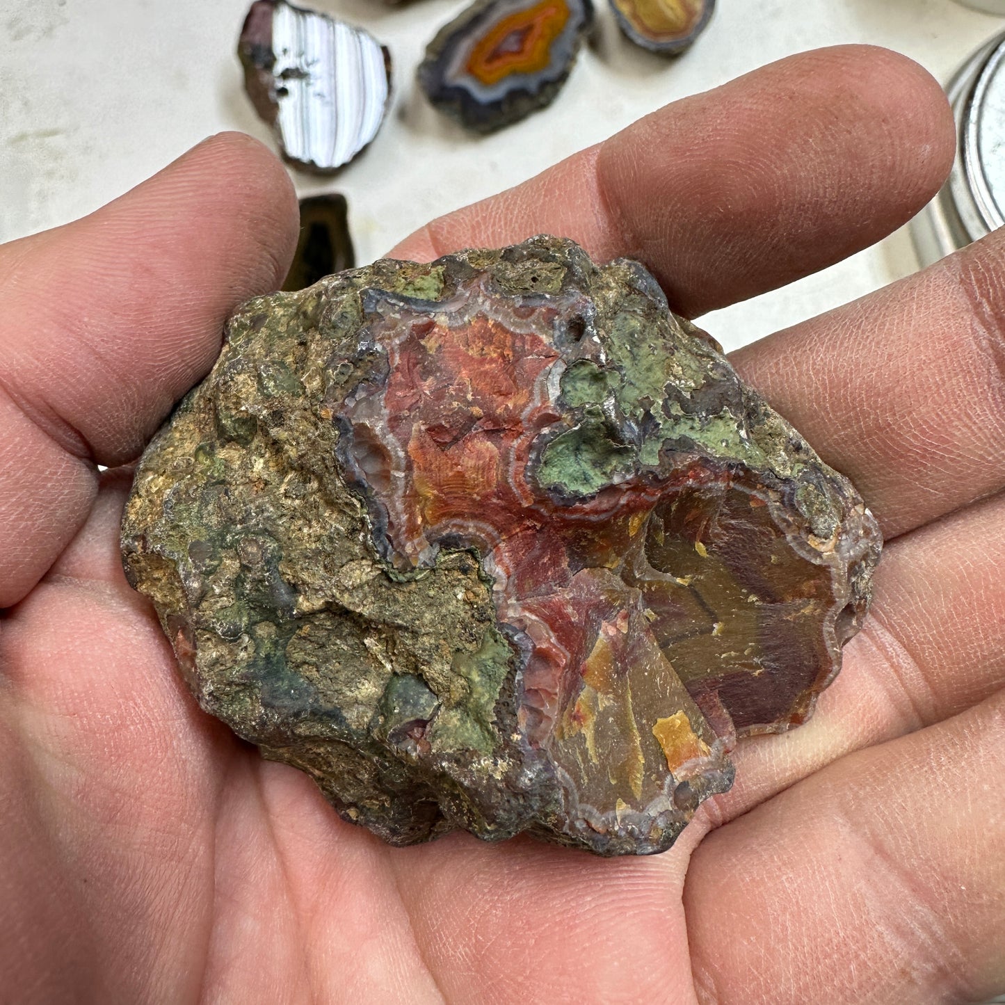 CONDOR AGATE Polished Specimen