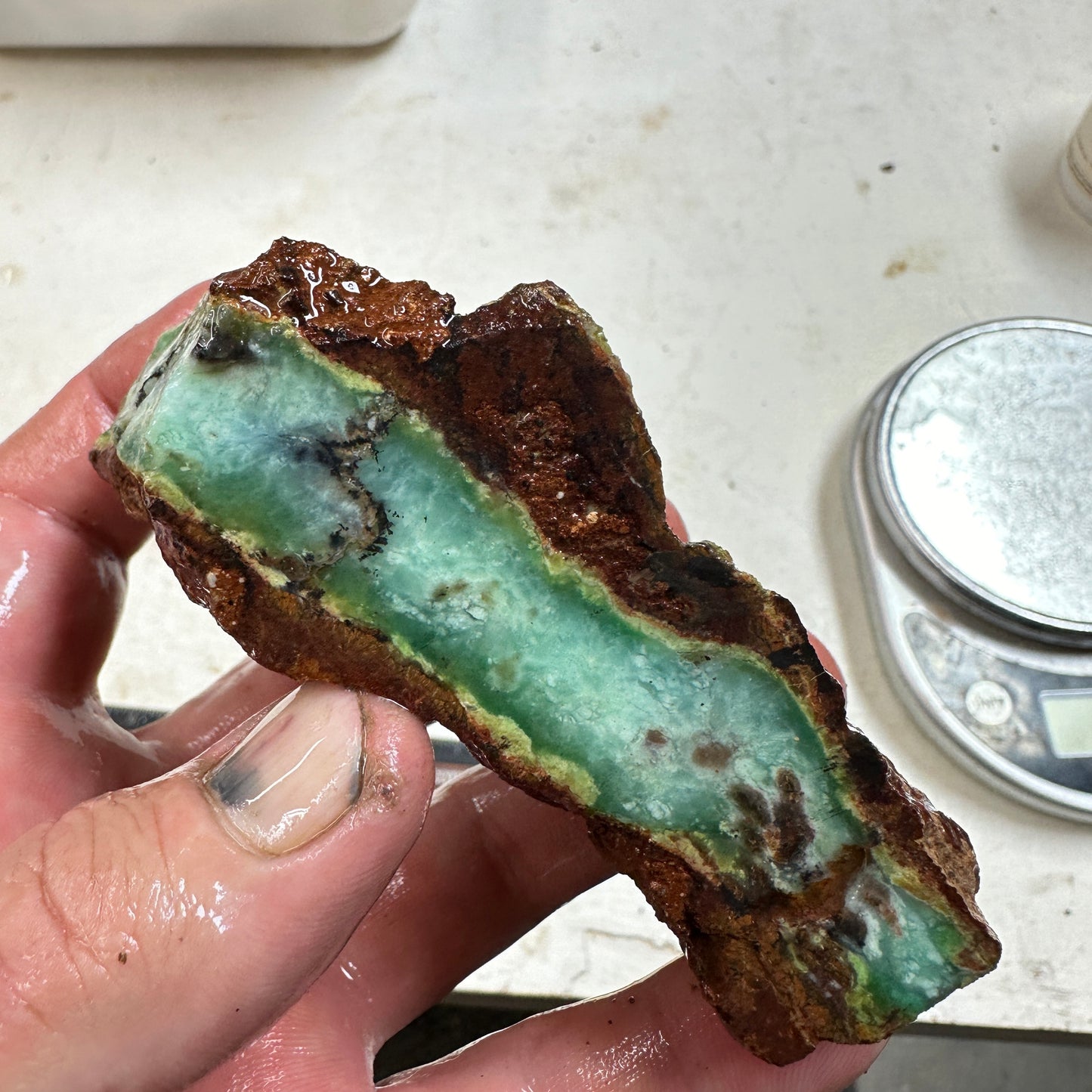 CHRYSOPRASE Faced Rough - 0.50 Pounds