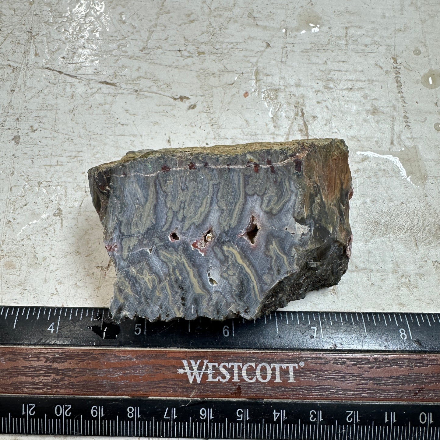 IDAHO WILDFIRE PLUME AGATE Faced Rough - 4.12oz