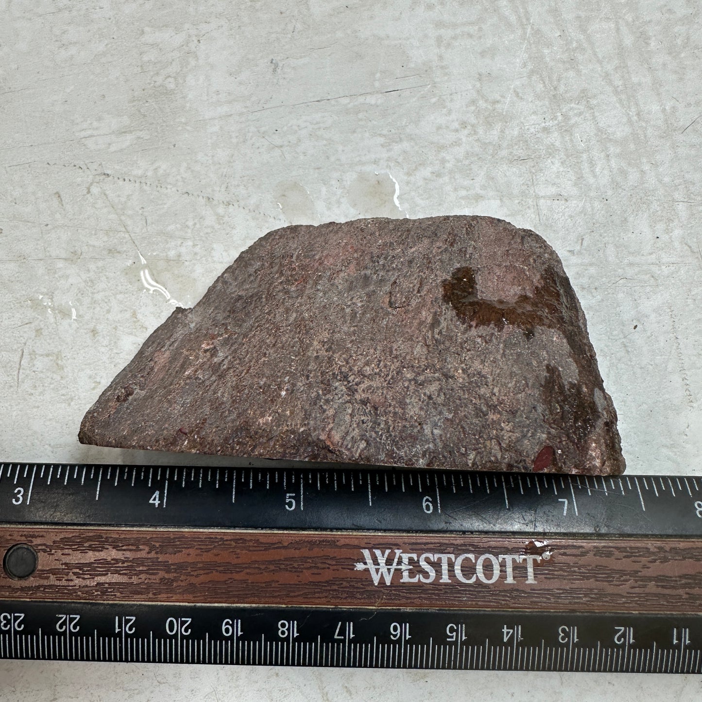 GEMBONE Dinosaur Bone Faced Rough - 324 grams