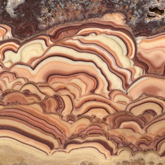 ROLLING HILLS DOLOMITE Slab - 313 grams