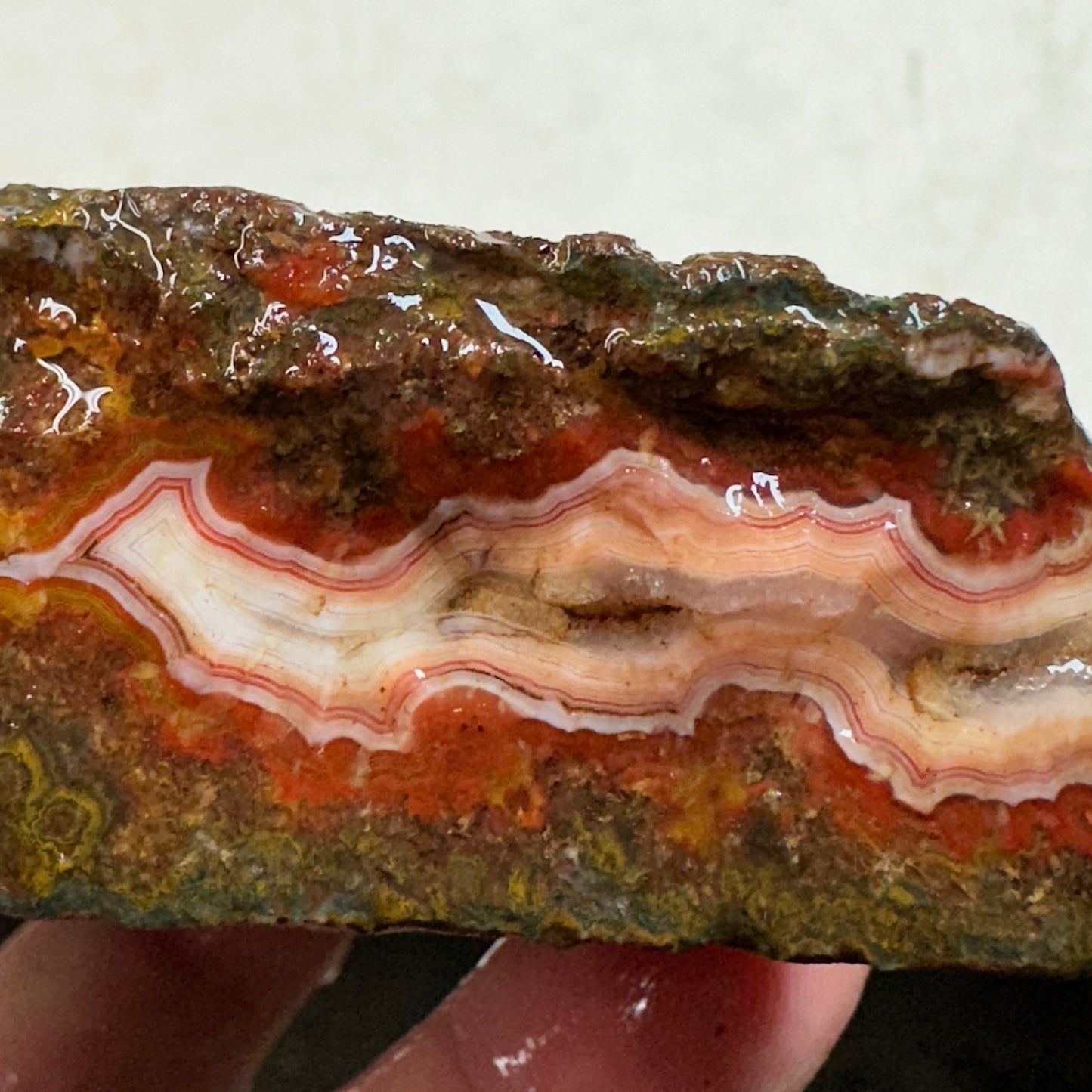 MOROCCAN SEAM AGATE Rough - 1.08 Pounds