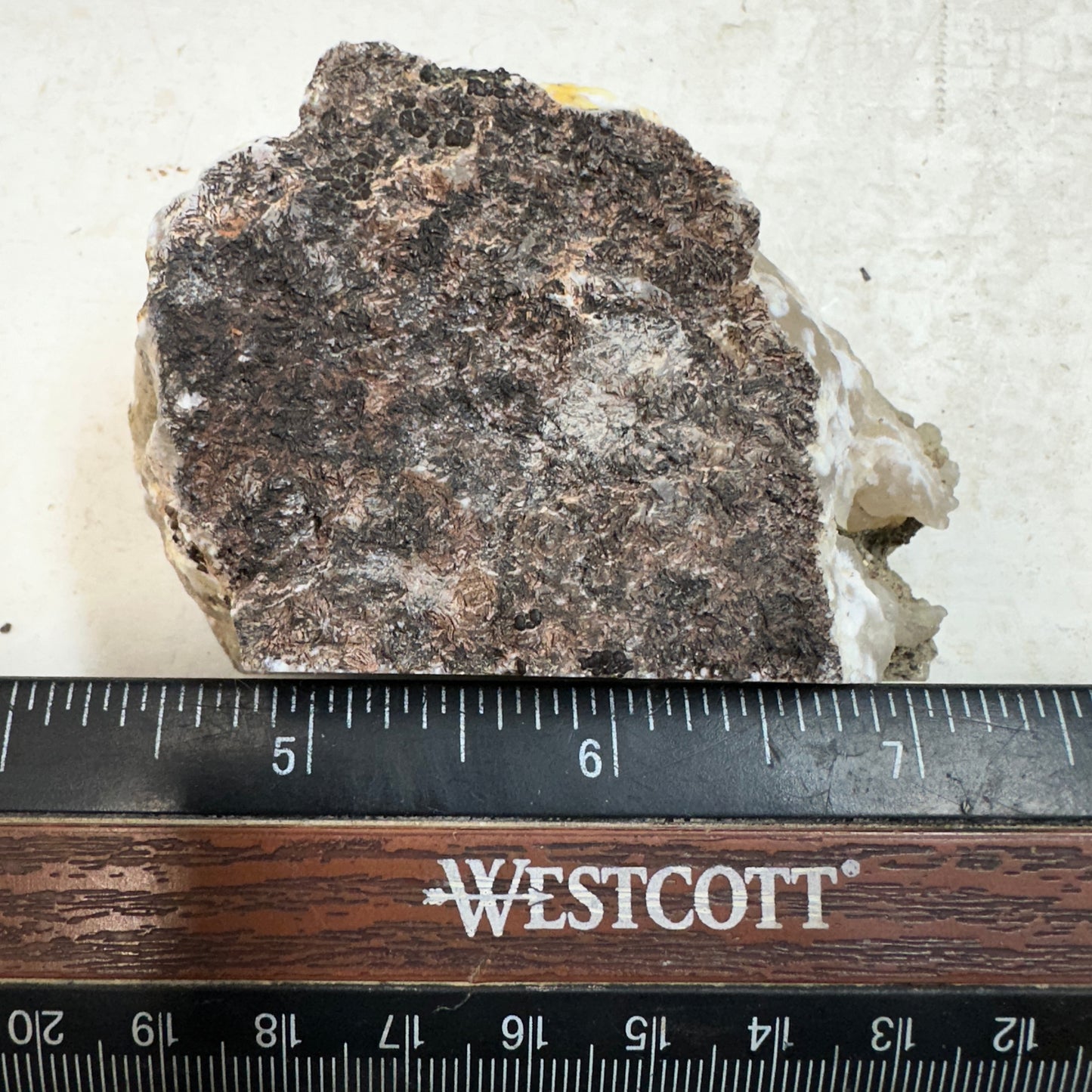 NEVADA POINT PLUME AGATE Faced Rough - 0.52 Pounds