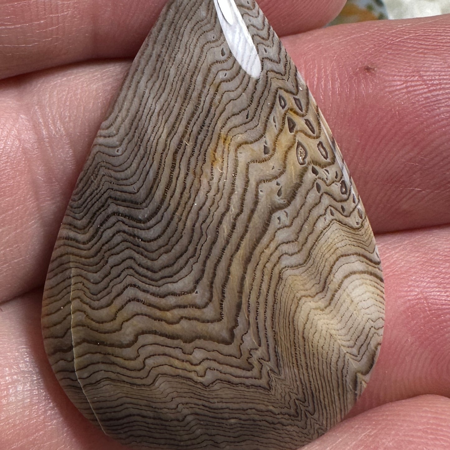 HELLS CANYON HERRINGBONE cabochon