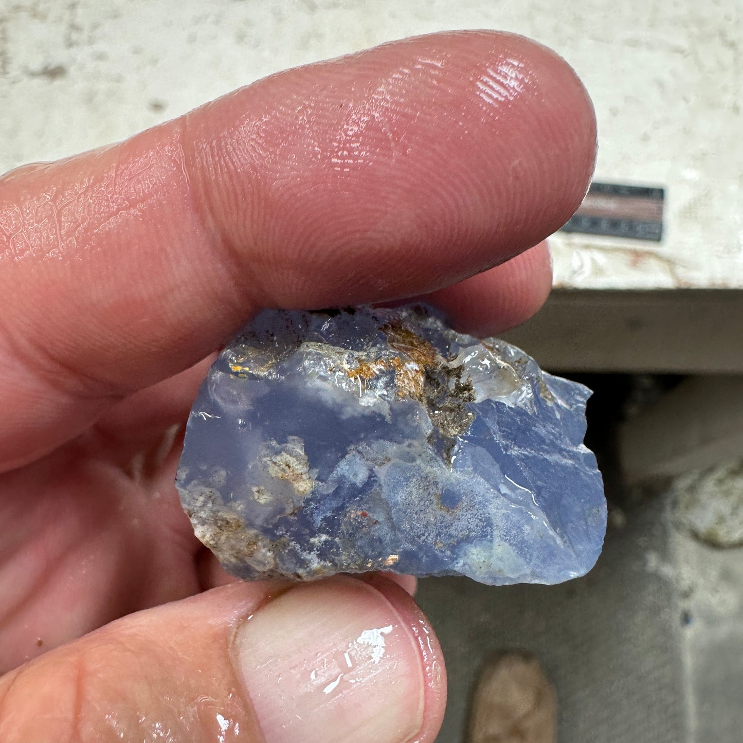 Ethiopian BLUE AGATE Rough - 48.0 grams