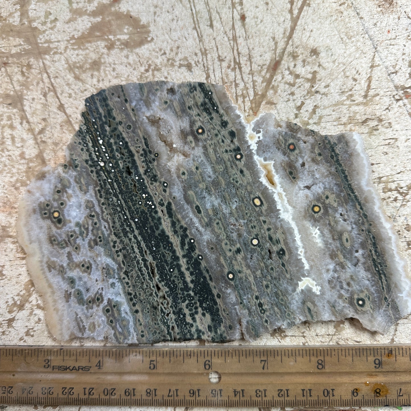 OCEAN JASPER Slab - 299 grams