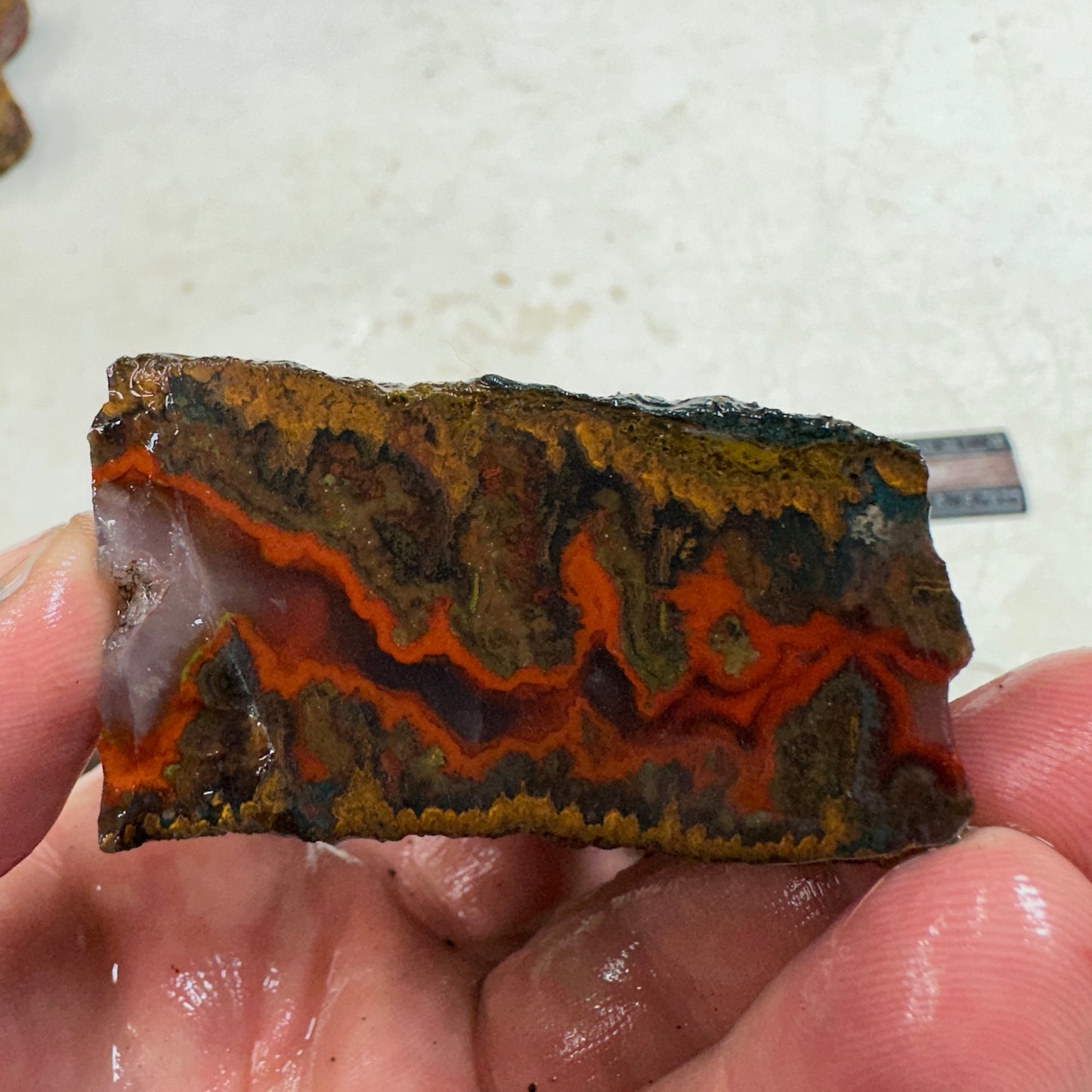 MOROCCAN SEAM AGATE Rough - 7.9ozs