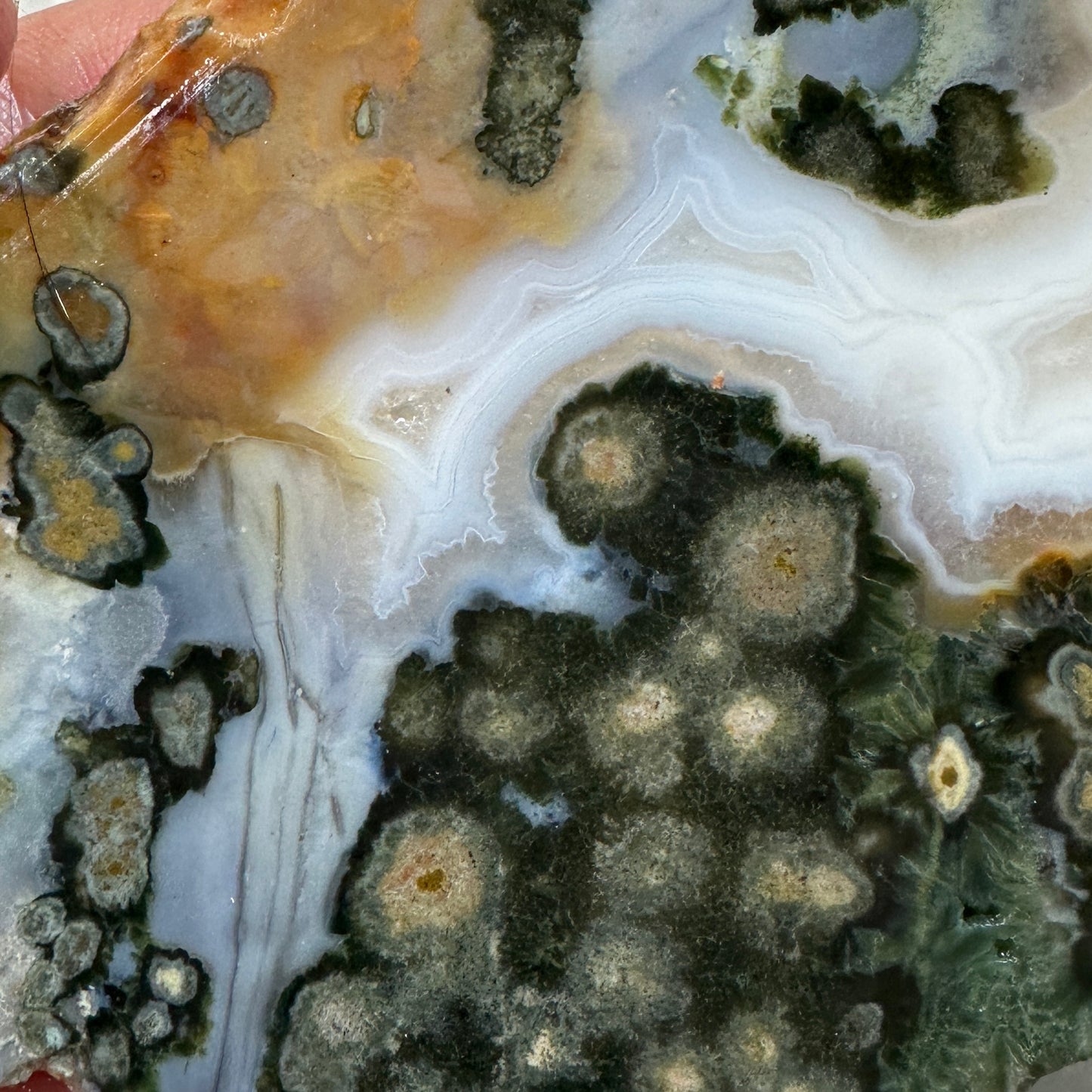 OCEAN JASPER Slab - 174 grams