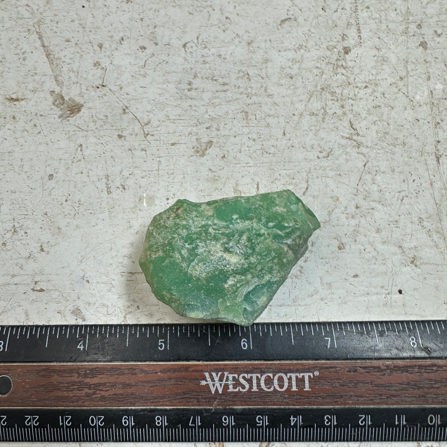 Tanzanian CHRYSOPRASE Rough 56.2 grams