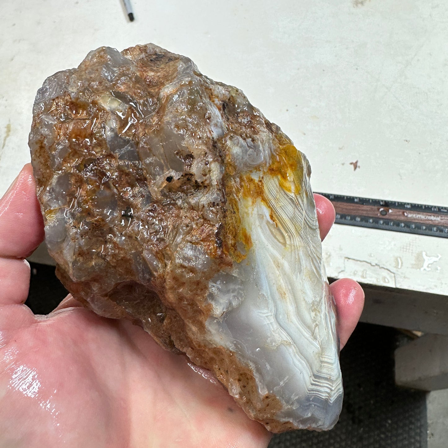 MOROCCAN AHOULI AGATE Rough - 2.62 Pounds