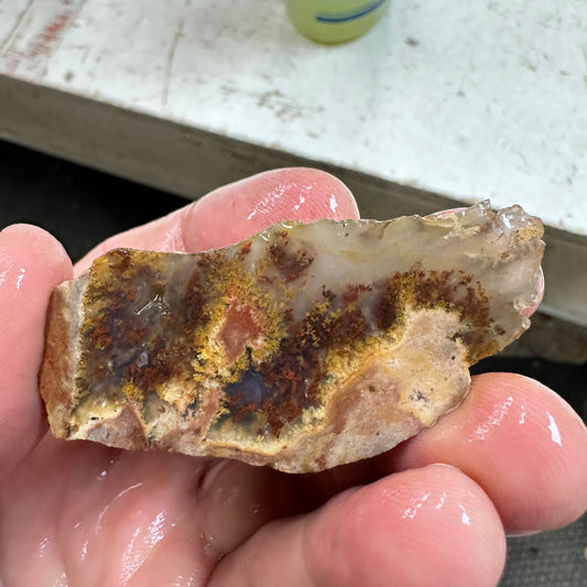 CAREY PLUME AGATE Faced Rough - 3.13oz