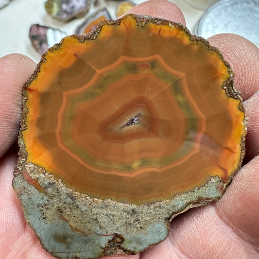 CONDOR AGATE Polished Specimen